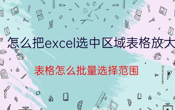 怎么把excel选中区域表格放大 表格怎么批量选择范围？